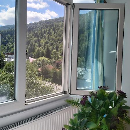 Apartment Valea Azugii Азуга Екстериор снимка