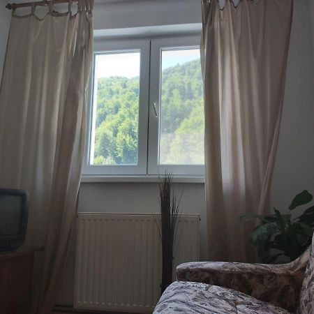 Apartment Valea Azugii Азуга Екстериор снимка