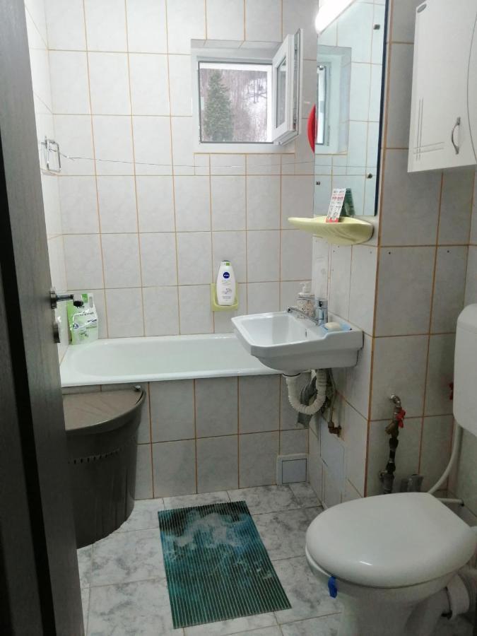 Apartment Valea Azugii Азуга Екстериор снимка