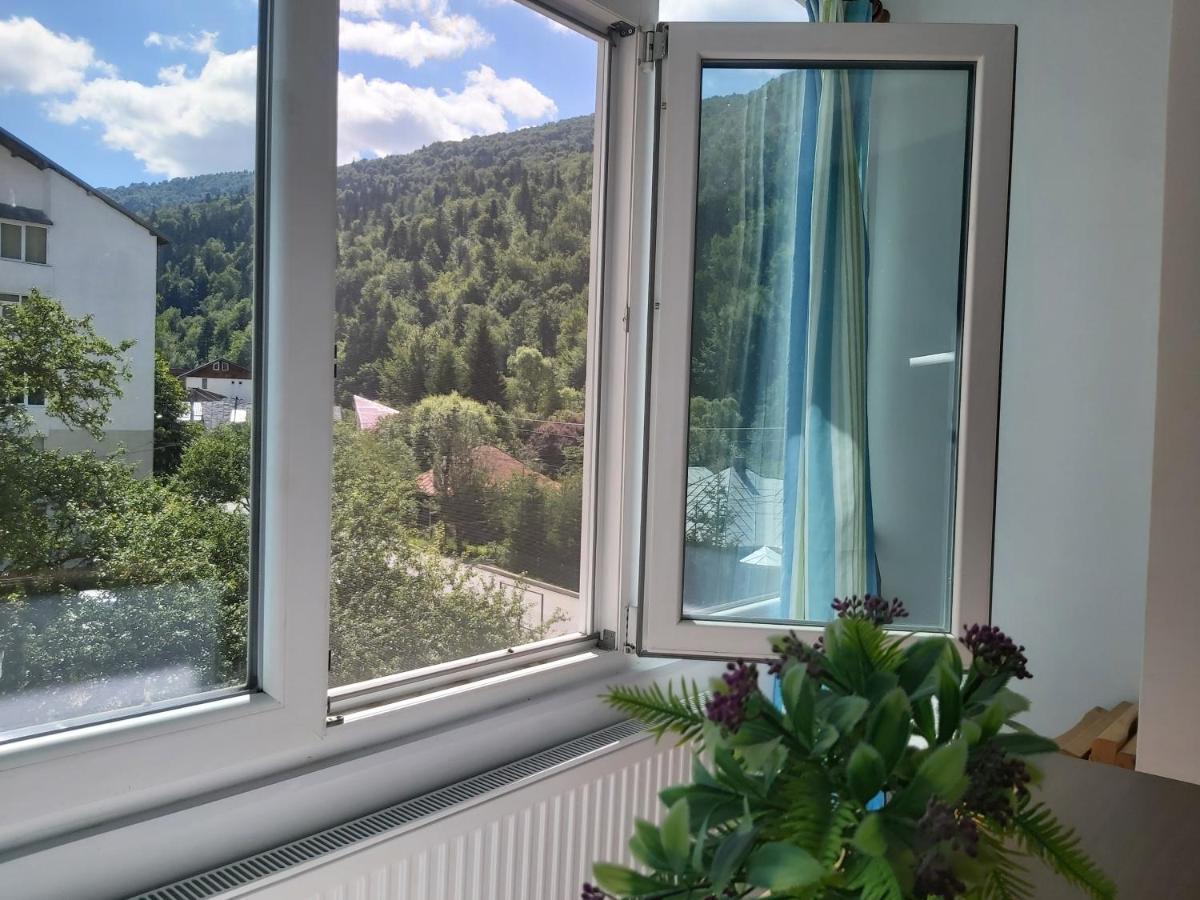 Apartment Valea Azugii Азуга Екстериор снимка