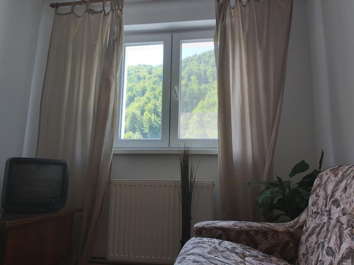 Apartment Valea Azugii Азуга Екстериор снимка